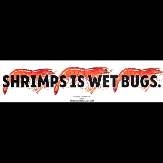 SHRIMPS IS BUGS SLAP