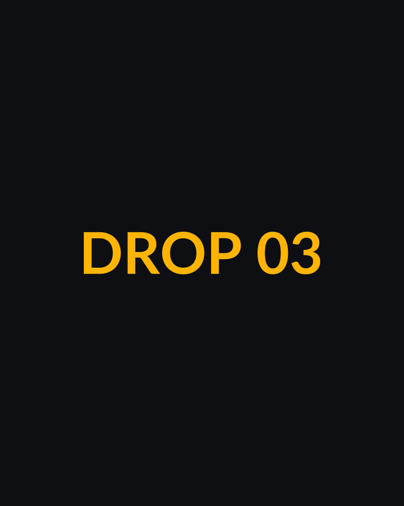 Placeholder 03